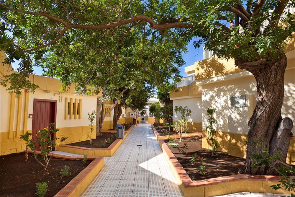 Apartamentos Plataneras Los Cristianos  Dış mekan fotoğraf